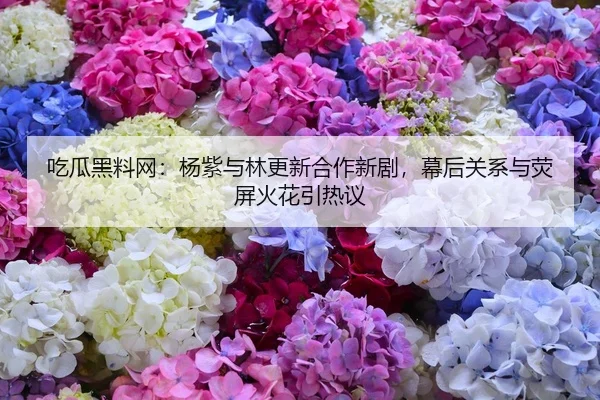 吃瓜黑料网：杨紫与林更新合作新剧，幕后关系与荧屏火花引热议